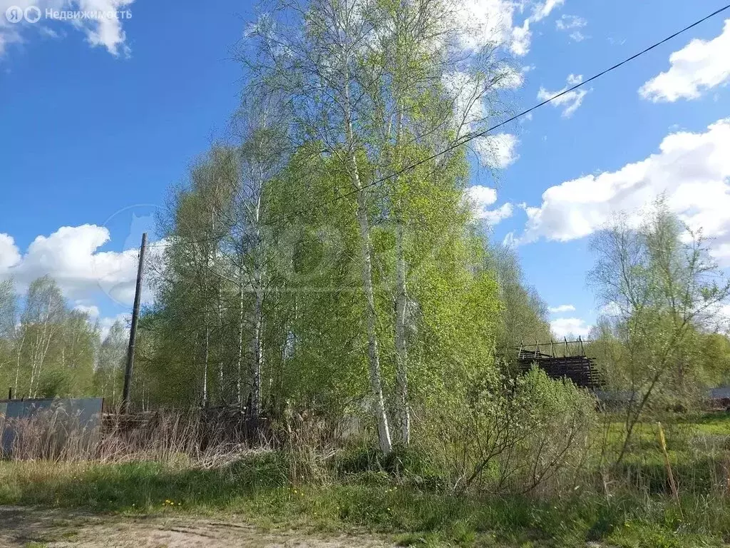 Участок в Нижнетавдинский район, СТ Фортуна (10 м) - Фото 1