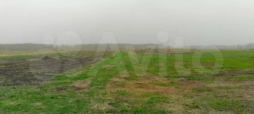 Участок 4,4 га (СНТ, ДНП) - Фото 0