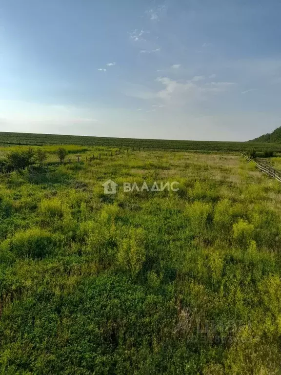 Участок в Башкортостан, Стерлитамакский район, с. Буриказганово  (14.5 ... - Фото 0