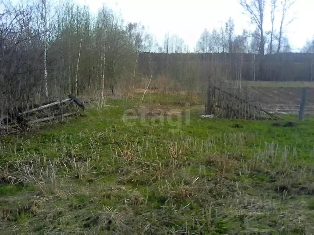 Участок в Нижегородская область, Чкаловск муниципальный округ, д. ... - Фото 1