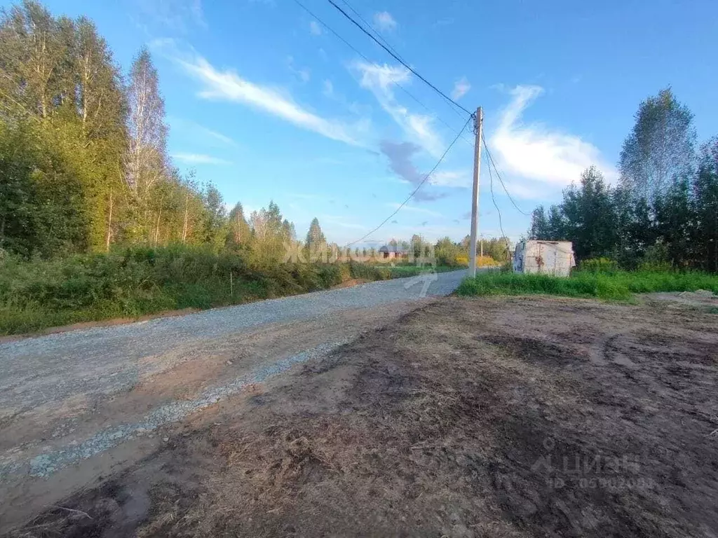 Участок в Новосибирская область, Новосибирский район, Барышевский ... - Фото 1