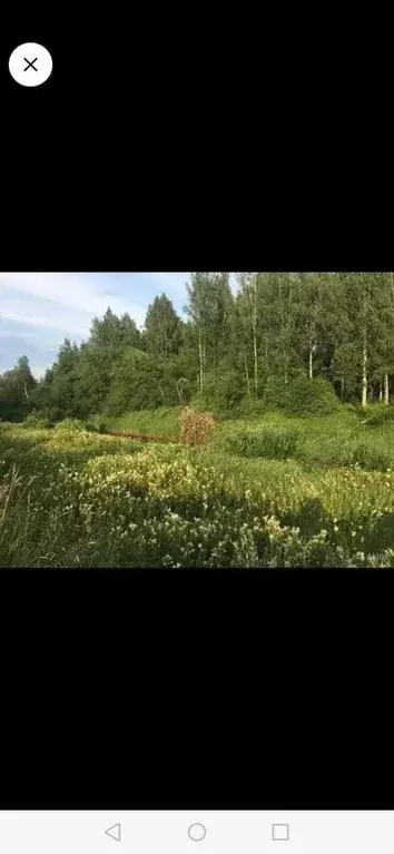 Участок в Ленинградская область, Тосненское городское поселение  ... - Фото 1