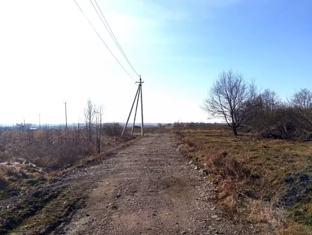 Участок в Калининградская область, Зеленоградский муниципальный округ, ... - Фото 1