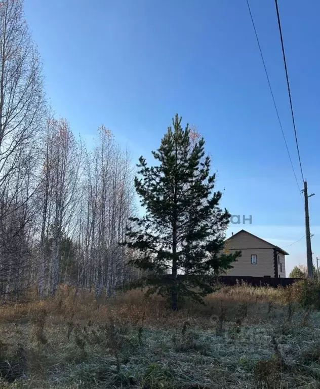 Участок в Челябинская область, Аргаяшский муниципальный округ, Райский ... - Фото 1