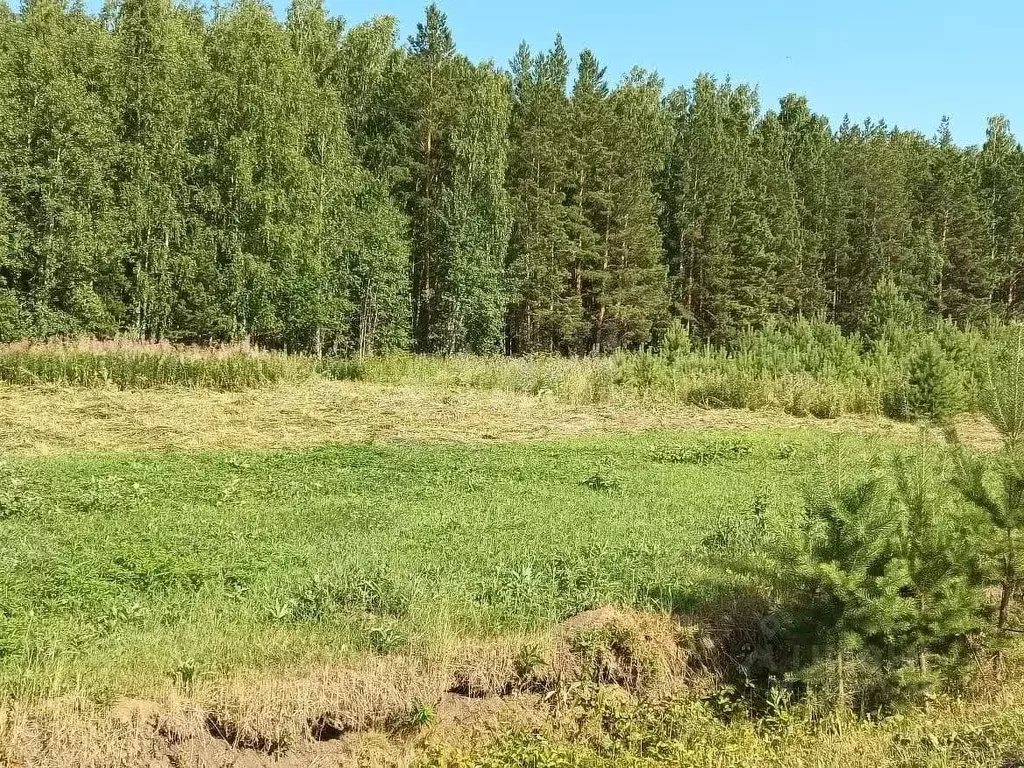 Участок в Тюменская область, Тюменский муниципальный округ, с. Кулига ... - Фото 1