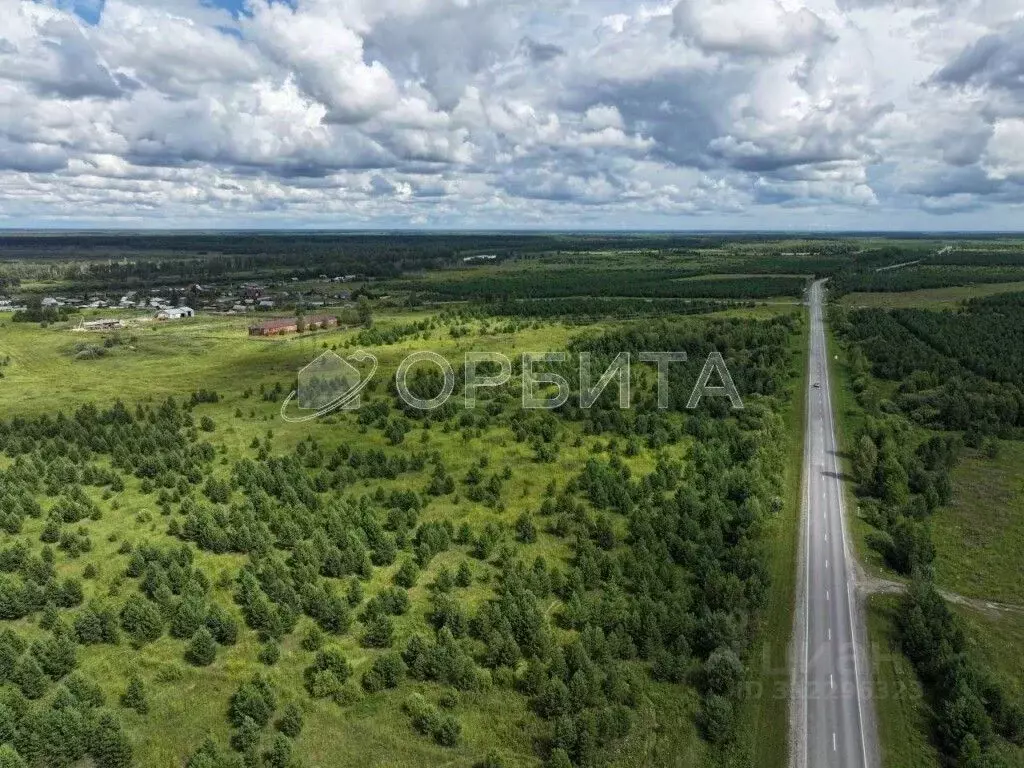 Участок в Тюменская область, Тюменский район, Винзили рп, Надежда СНТ ... - Фото 1