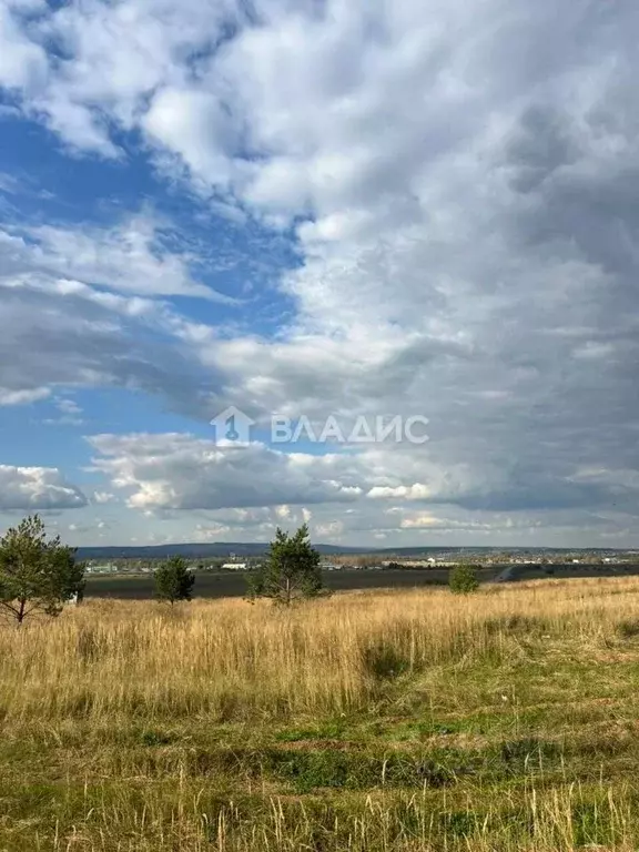 Участок в Татарстан, Нижнекамский район, Каенлинское с/пос, Борок СНТ  ... - Фото 1