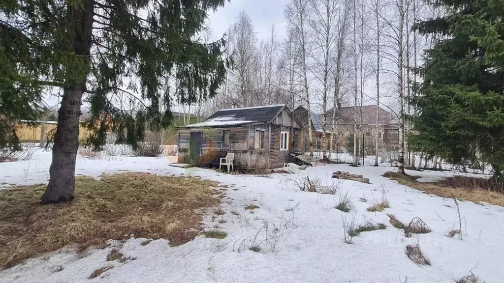 Дом в Ленинградская область, Выборгский район, Рощинское городское ... - Фото 1