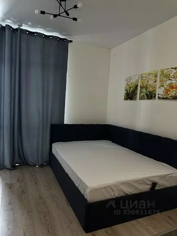 Студия Москва № 160 кв-л, 1Вк2 (25.0 м) - Фото 2