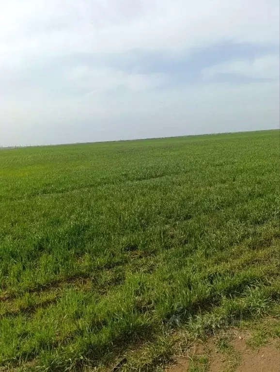 Участок в Крым, Сакский район, Суворовское с/пос, с. Великое ул. ... - Фото 1