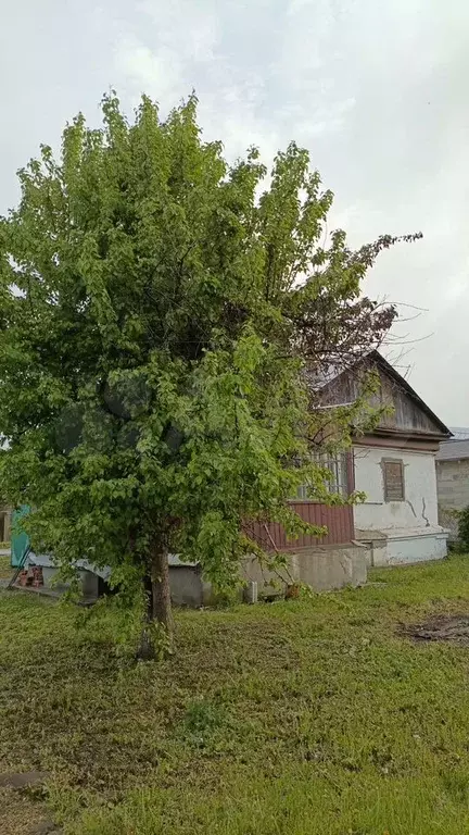 Дом 44 м на участке 5,2 сот. - Фото 0