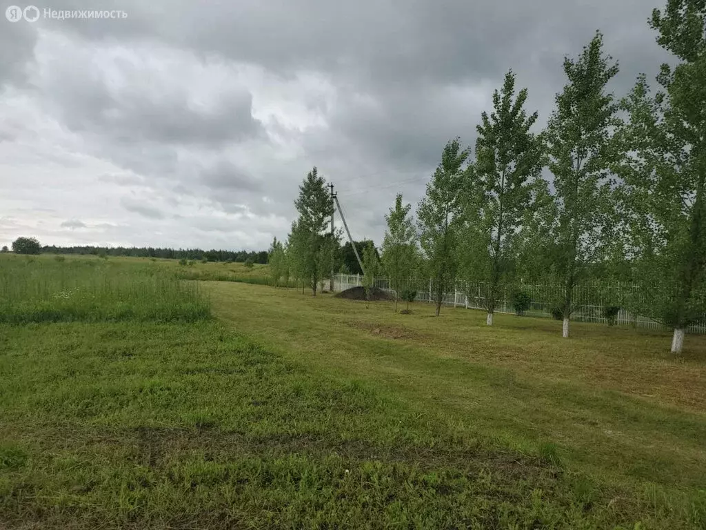 Участок в Орловский муниципальный округ, село Паслово (13.1 м) - Фото 0