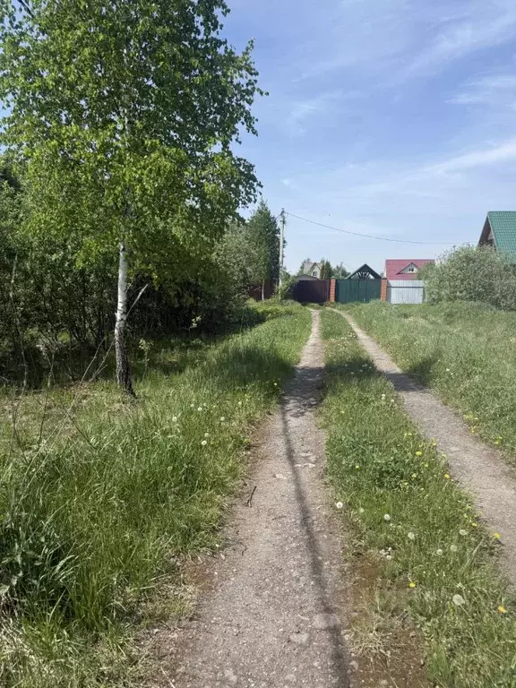 Участок в Московская область, Раменский муниципальный округ, 40-10 ... - Фото 1