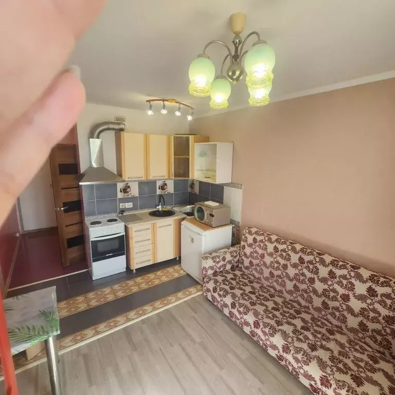 Студия Новосибирская область, Новосибирск ул. Фадеева, 66/2 (28.0 м) - Фото 0