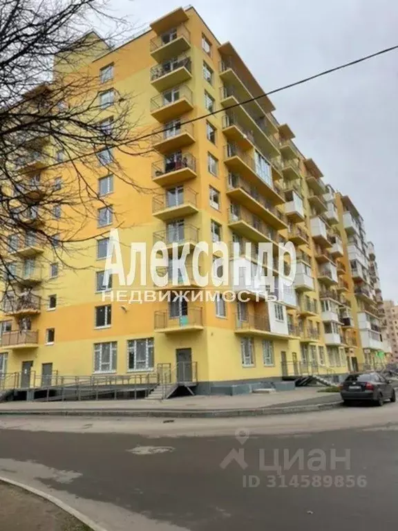Торговая площадь в Санкт-Петербург пос. Шушары, Ленсоветовский тер., ... - Фото 1