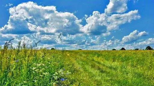 Участок в Татарстан, Тукаевский район, д. Азьмушкино  (10.0 сот.) - Фото 0