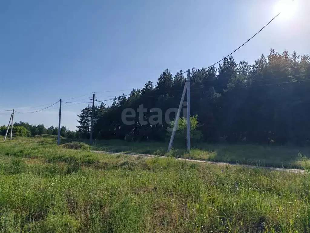 Участок в Воронежская область, Борисоглебский городской округ, с. ... - Фото 1