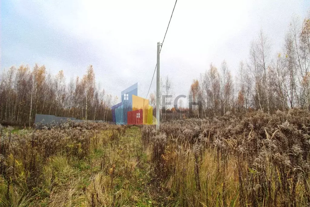 Участок в Тульская область, Тула городской округ, д. Дементеево, ... - Фото 2