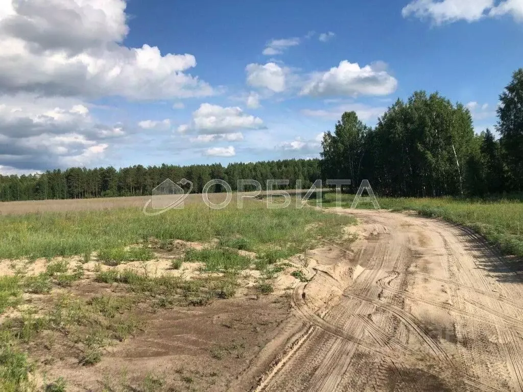 Участок в Тюменская область, Тюменский муниципальный округ, д. ... - Фото 1