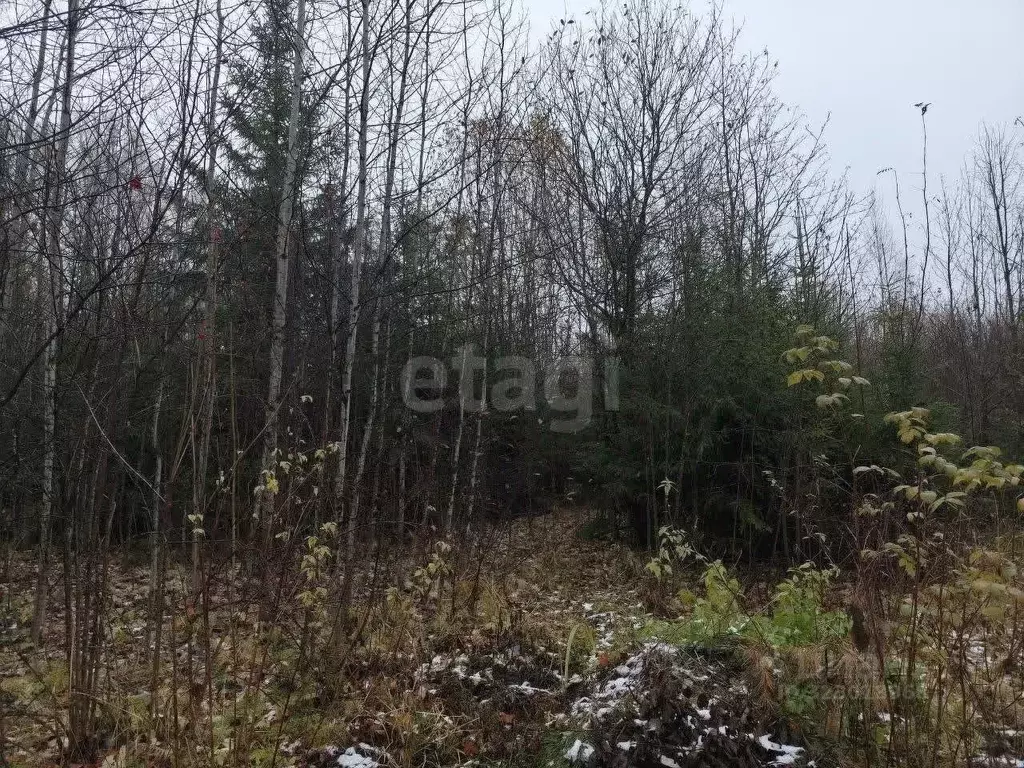 Участок в Удмуртия, Воткинский район, Яблонька СНТ  (246.0 сот.) - Фото 2