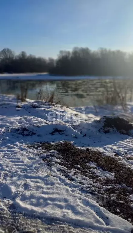 Участок в Алтай, Майминский район, с. Подгорное Береговая ул. (13.5 ... - Фото 1