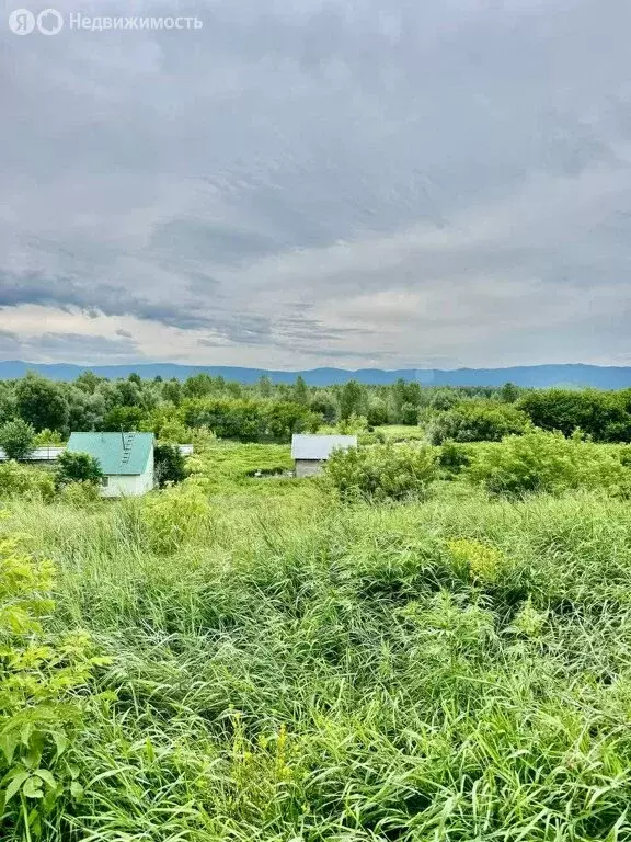 Участок в Смоленский район, село Сычёвка (25 м) - Фото 0