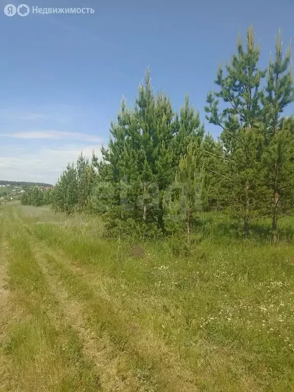 Участок в Миасский городской округ, посёлок Новотагилка (8 м) - Фото 1