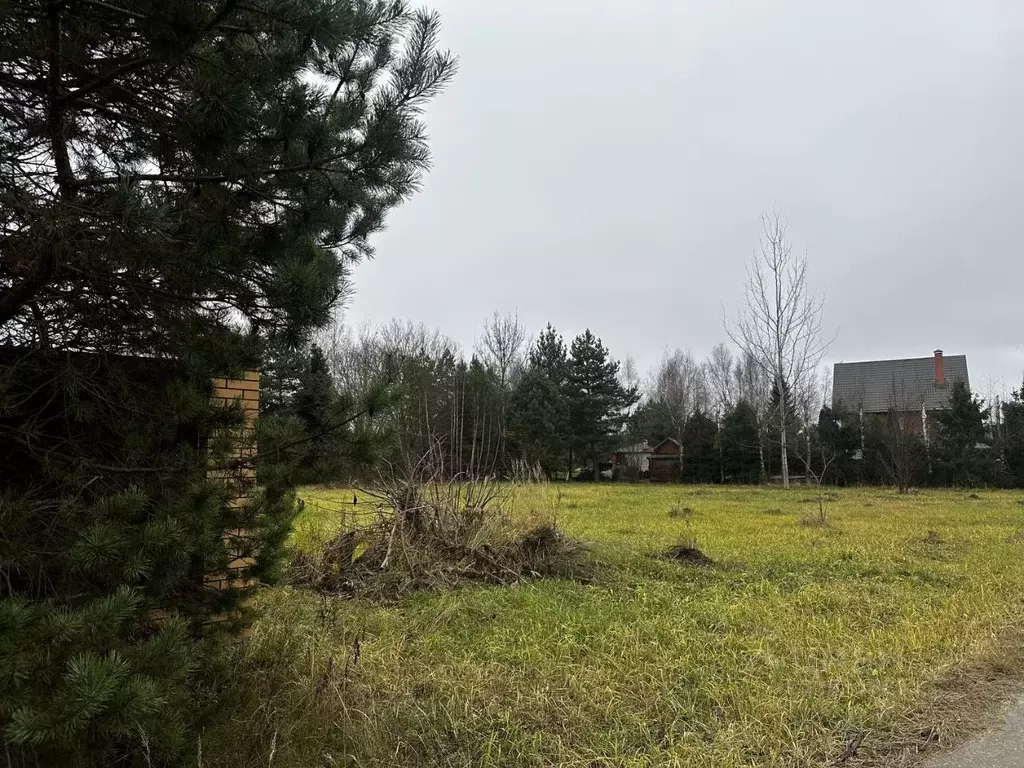 Участок в Московская область, Рузский муниципальный округ, д. ... - Фото 1