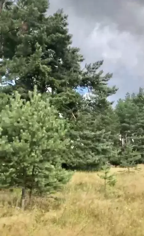 Участок в Московская область, Шатура муниципальный округ, д. ... - Фото 2