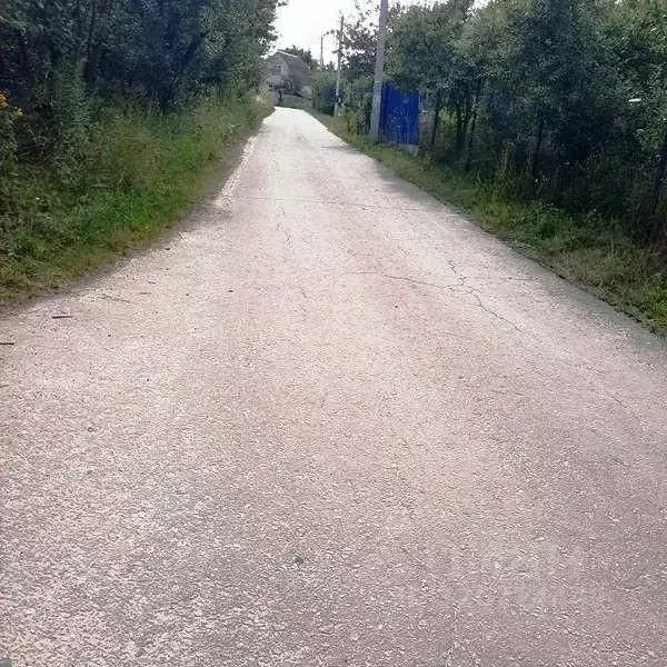 Участок в Белгородская область, Яковлевский муниципальный округ, с. ... - Фото 2