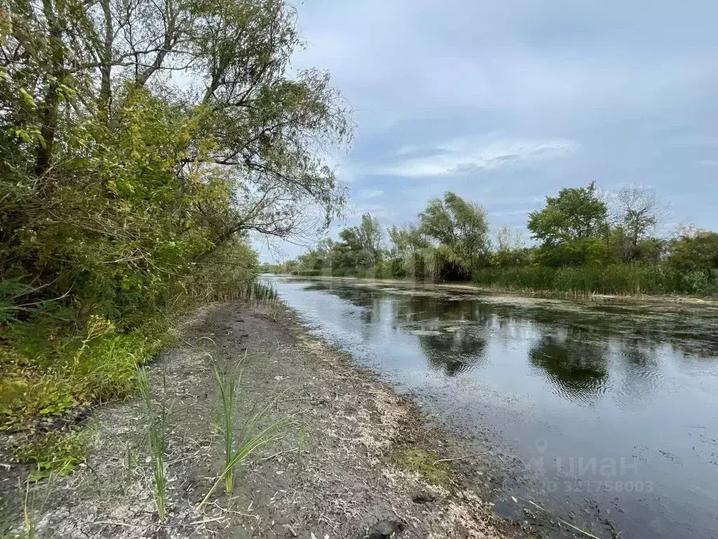Участок в Ростовская область, Аксайский район, Старочеркасское с/пос ... - Фото 1