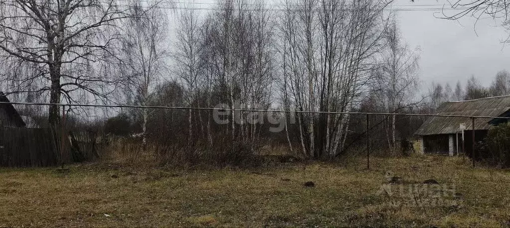 Участок в Нижегородская область, Навашинский муниципальный округ, с. ... - Фото 0