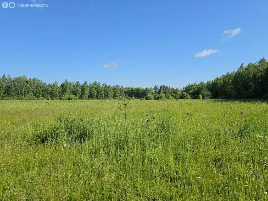 Участок в Богородский городской округ, коттеджный посёлок Новое ... - Фото 0