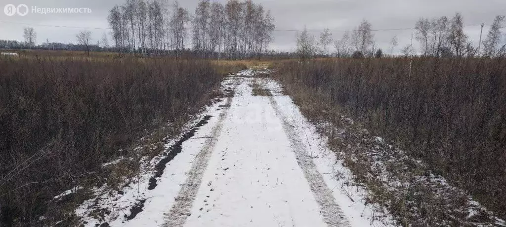 Участок в Ульяновск, Московское шоссе (8 м) - Фото 1