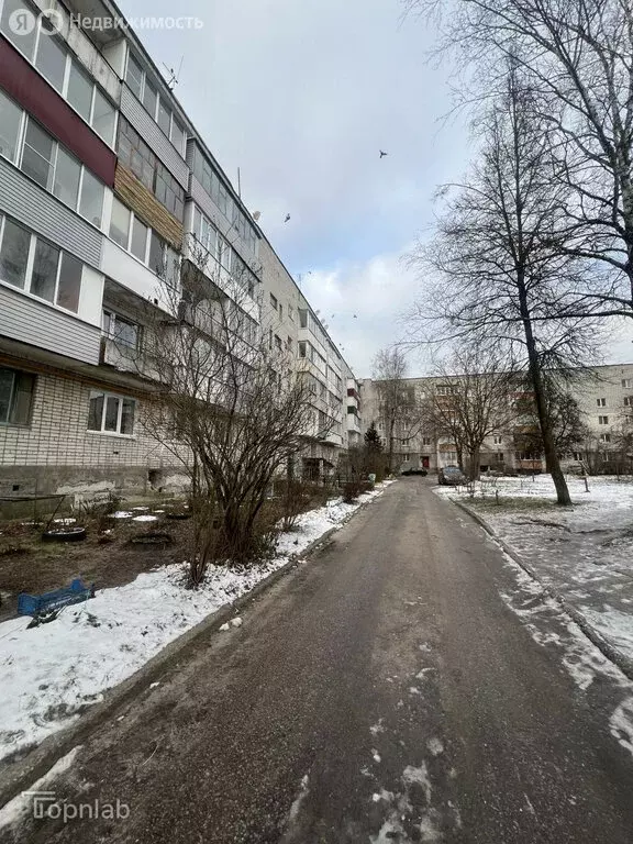 1-комнатная квартира: Фокино, улица Карла Маркса, 35 (23.1 м) - Фото 1