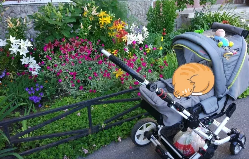 2-к кв. Санкт-Петербург Гаккелевская ул., 26 (51.3 м) - Фото 2