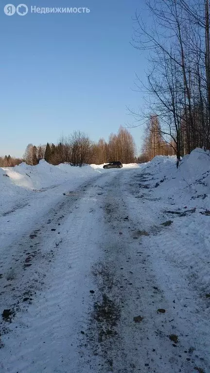 Участок в Пермский край, Чусовской муниципальный округ, деревня ... - Фото 2