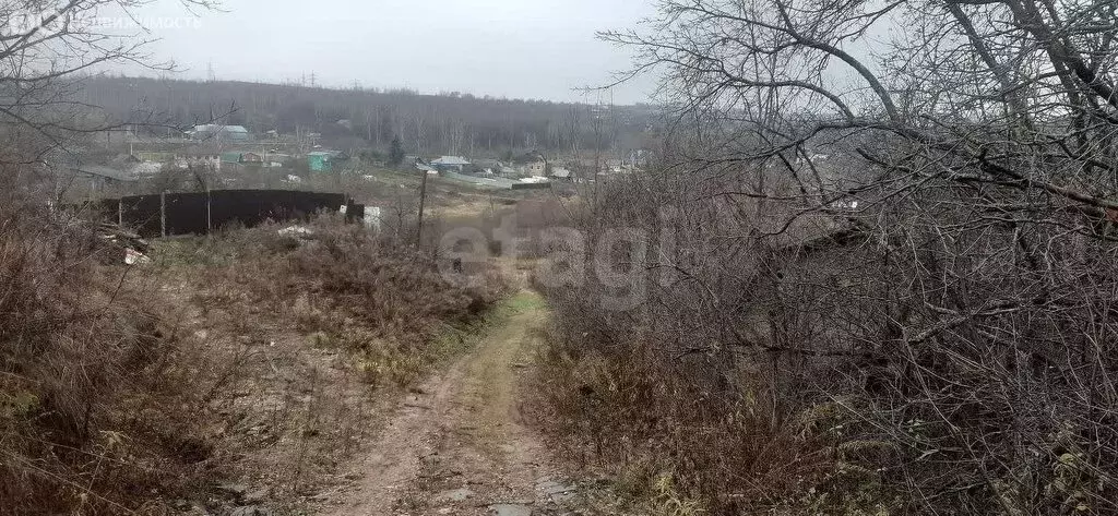 Участок в Анкудиновка, СНТ Механизатор (5.89 м) - Фото 1