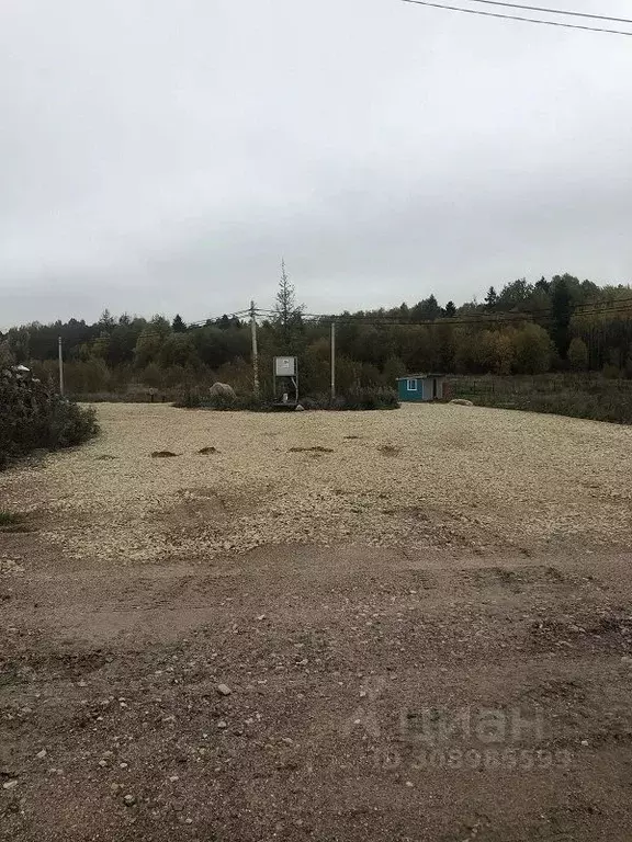 Участок в Ленинградская область, Ломоносовский район, Гостилицкое ... - Фото 0