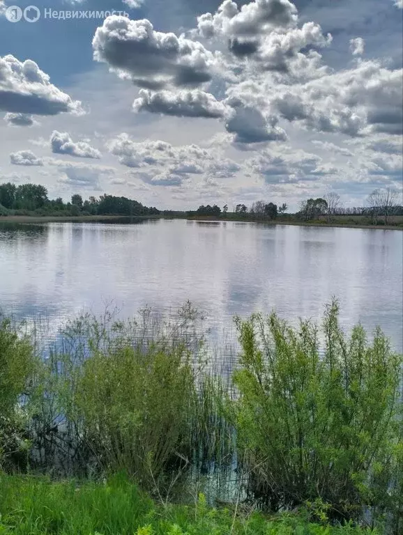 Участок в Сердобский район, Пригородный сельсовет (3100 м) - Фото 1