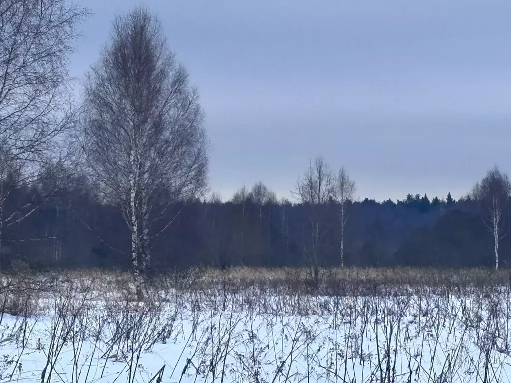 Участок в Московская область, Клин городской округ, д. Орлово ул. ... - Фото 0