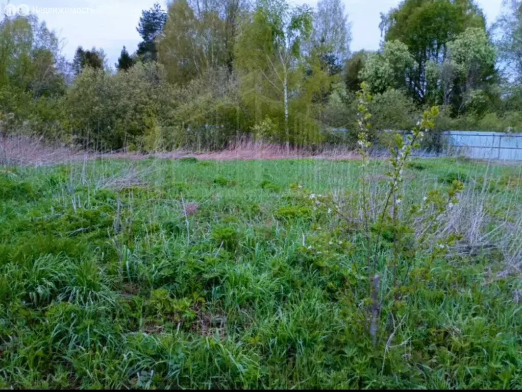 Участок в Сергиево-Посадский городской округ, село Константиново (18 ... - Фото 0