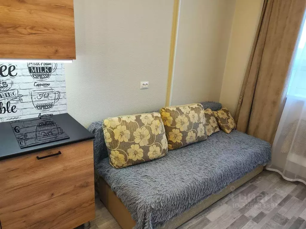 Студия Свердловская область, Екатеринбург ул. Лыжников, 3 (19.3 м) - Фото 2