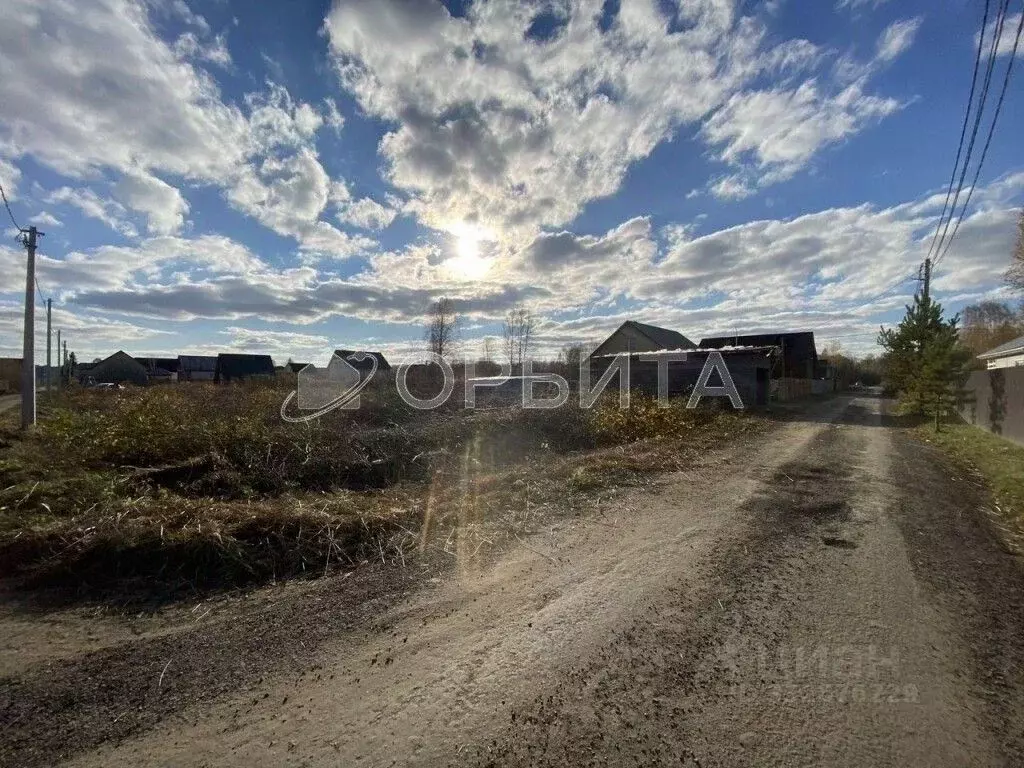 Участок в Тюменская область, Тюмень Якорь СНТ, ул. Лимонная (8.0 сот.) - Фото 2