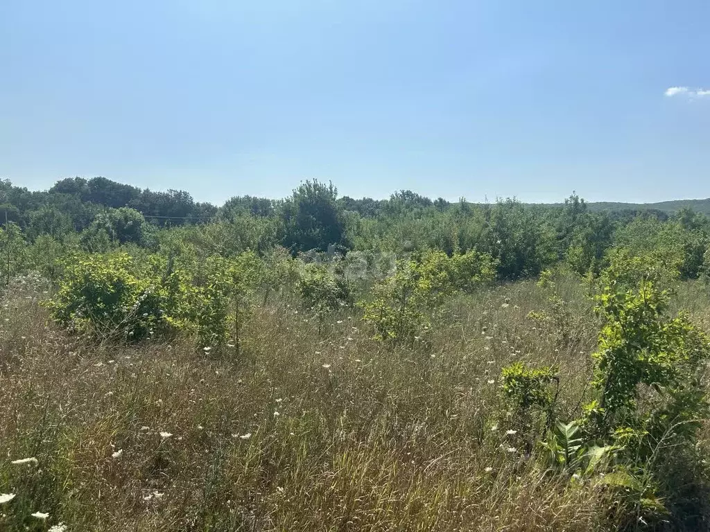 Участок в Краснодарский край, Новороссийск городской округ, ... - Фото 1