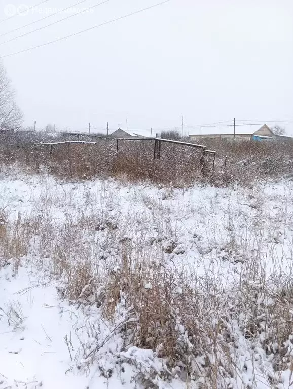 Участок в Уйское, посёлок Новое Заречье (8 м) - Фото 1