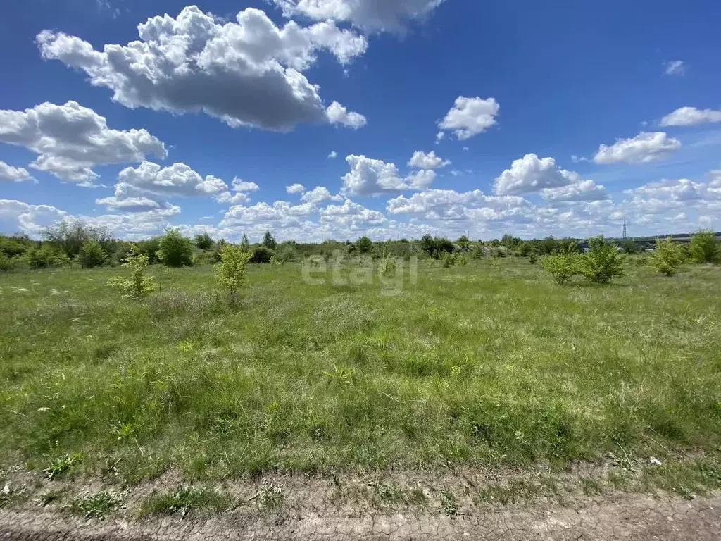Участок в Воронежская область, Семилукский район, с. Девица пер. Тихий ... - Фото 1