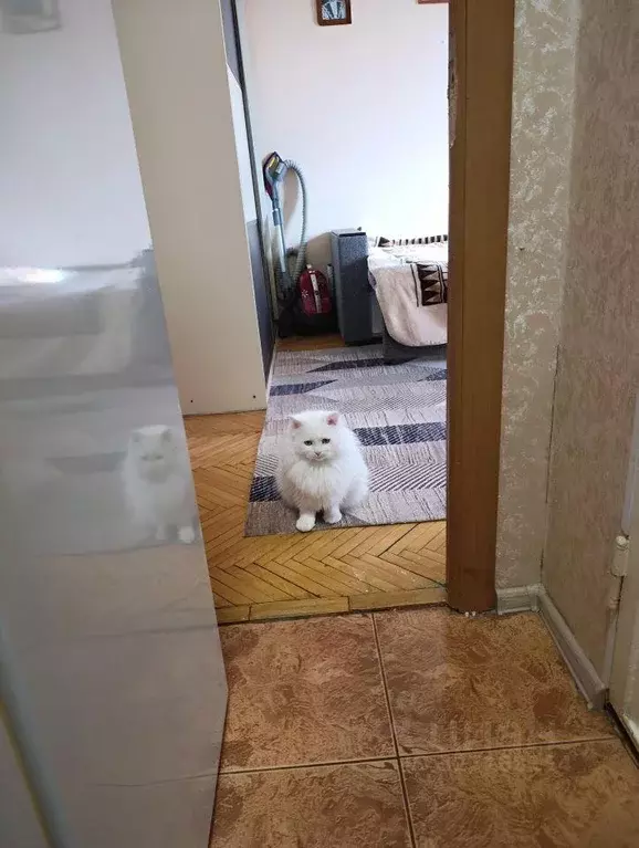 Квартира, 2 комнаты, 42.4 м - Фото 1