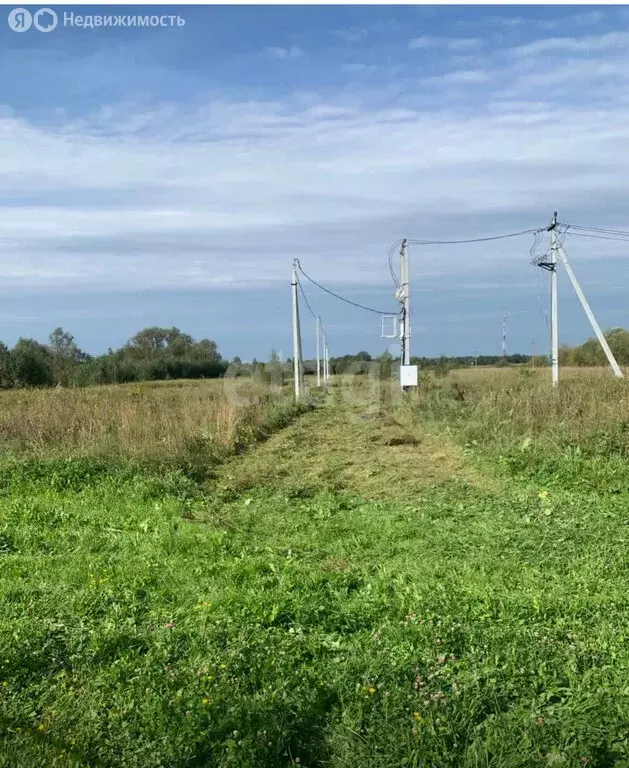 Участок в Московская область, городской округ Коломна, село Чанки (10 ... - Фото 0