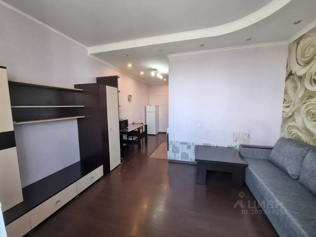 Студия Ростовская область, Ростов-на-Дону ул. Еременко, 97/29 (27.0 м) - Фото 2